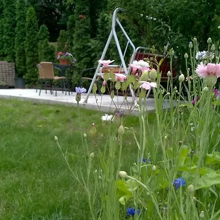 Zoe Apartman * Siofok